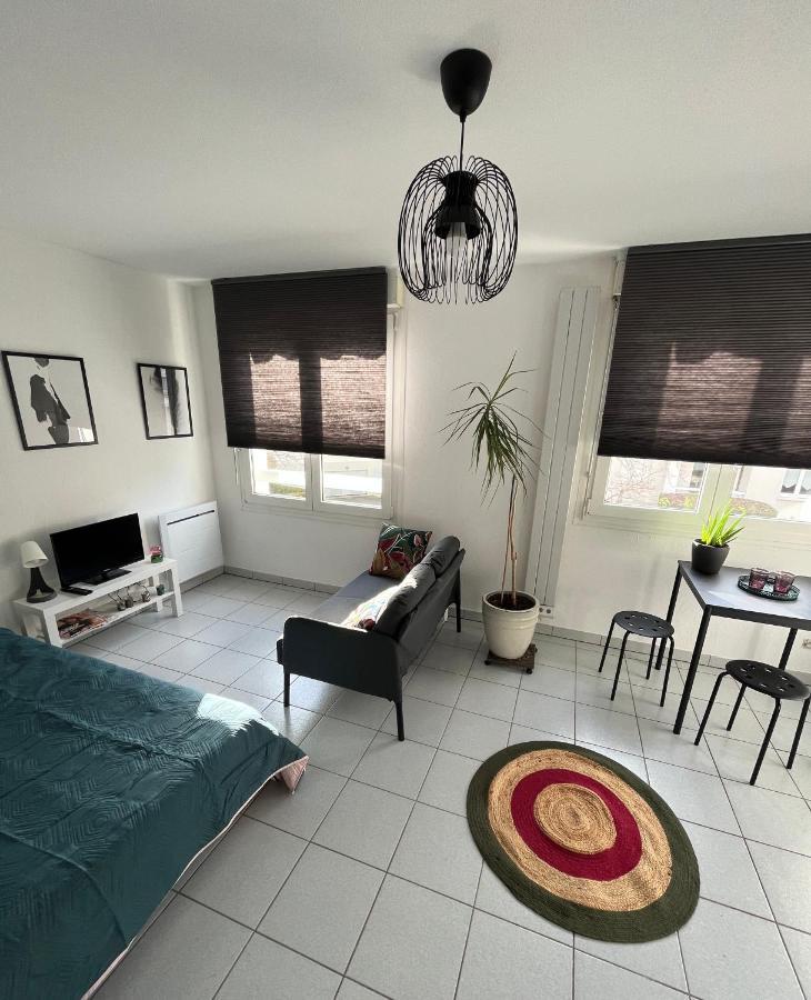 Apartamento Zen-Itude Estrasburgo Exterior foto